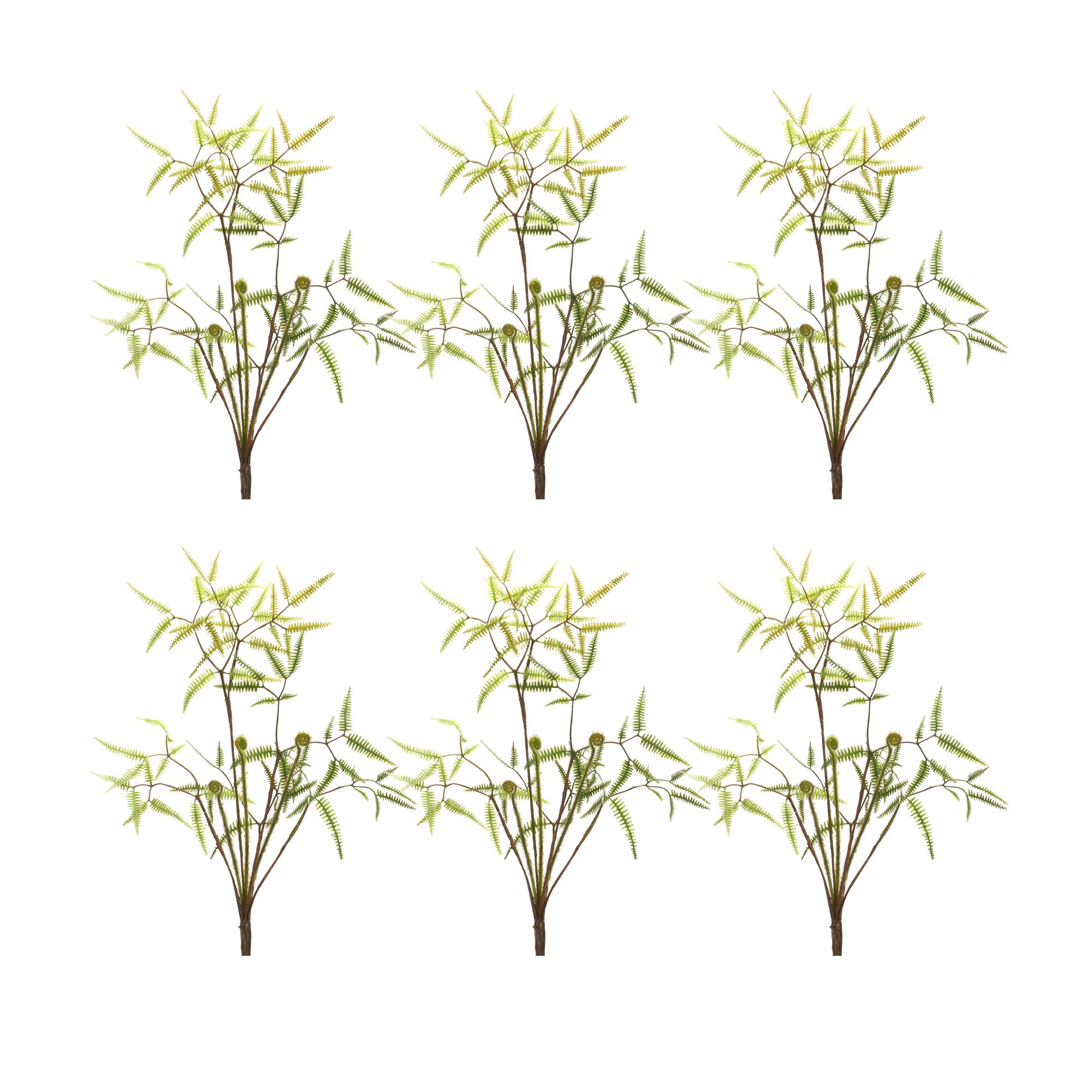 19" Mini Fern Bush, 6ct.